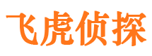 启东市侦探公司